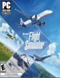 Microsoft Flight Simulator-EMPRESS